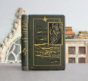 Rare Antique Old Book Wild Flowers Of Scotland 1897 Illustrated Plants Nature ⭐ - Picture 1 of 24