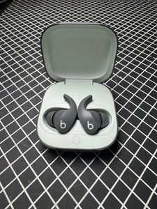 Beats by Dr. Dre Fit Pro True Wireless Earbuds - Sage Gray - Picture 1 of 7