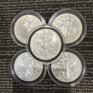 1 Ounce 999 Fine Silver 2013 American Eagle Walking Liberty Bullion Coin New - Picture 1 of 1