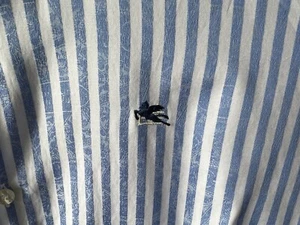 ETRO Men’s dress shirt blue color striped Pegasus Logo 41 16 Made In ITALY Super - Picture 1 of 10