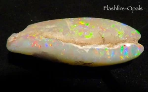 53ct. Gemma Opale Guscio. Martello Colori " Sammlertraum + Video " - Picture 1 of 9
