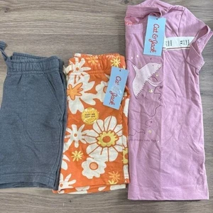 Cat & Jack Lot of Toddler girls Clothes - 3 Items -Size 4T - Picture 1 of 7