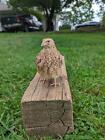 24+  Jumbo Brown/Celadon/whites and silver  Coturnix Quail Eggs and meat fertile