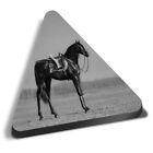 Triangle MDF Magnets - BW - Black Spanish Horse Pony #41957