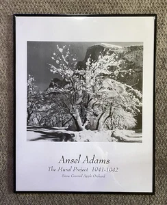 Ansel Adams Snow Covered Apple Orchard the Mural Project 1941-1942 Poster gerahmt - Bild 1 von 11
