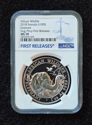 2018 Somalia 1oz Silver Elephant Dog Privy MS70 NGC - First Releases - Image 1 of 2