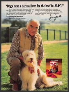 Alpo 1980s Print Advertisement 1984 Dog Lorne Greene Old English Sheepdog - Picture 1 of 1