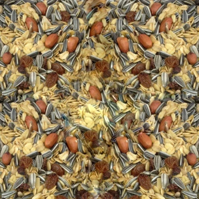 Vogelfutter Wildvogelfutter Streufutter Spezial ganzjährig von Paul's Mühle - Bild 1 von 2