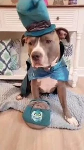 DOG COSTUME Disney Tails The Haunted Mansion Hatbox Ghost & Squeaky Toy Size XS - Picture 1 of 6