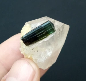 Elbaite Tourmaline With Quartz From Staknala,Gilgit,Pakistan. - Picture 1 of 10