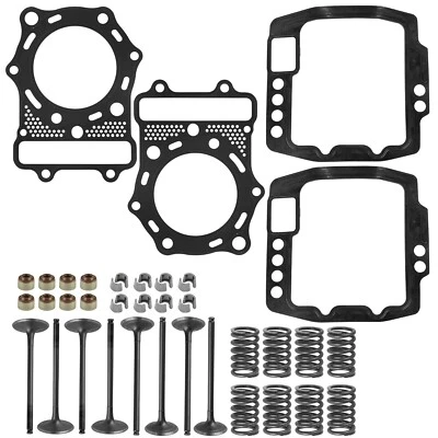 Kit de válvula de escape de admisión de culata para Kawasaki Vulcan 800 VN800 1995-2006 Foto 1 de 4