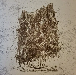 Noxis - Expanse Of Hellish Black Mire 10"(2020)MODORRA HEADLESS PEZ VOCIFERIAN - Imagen 1 de 1