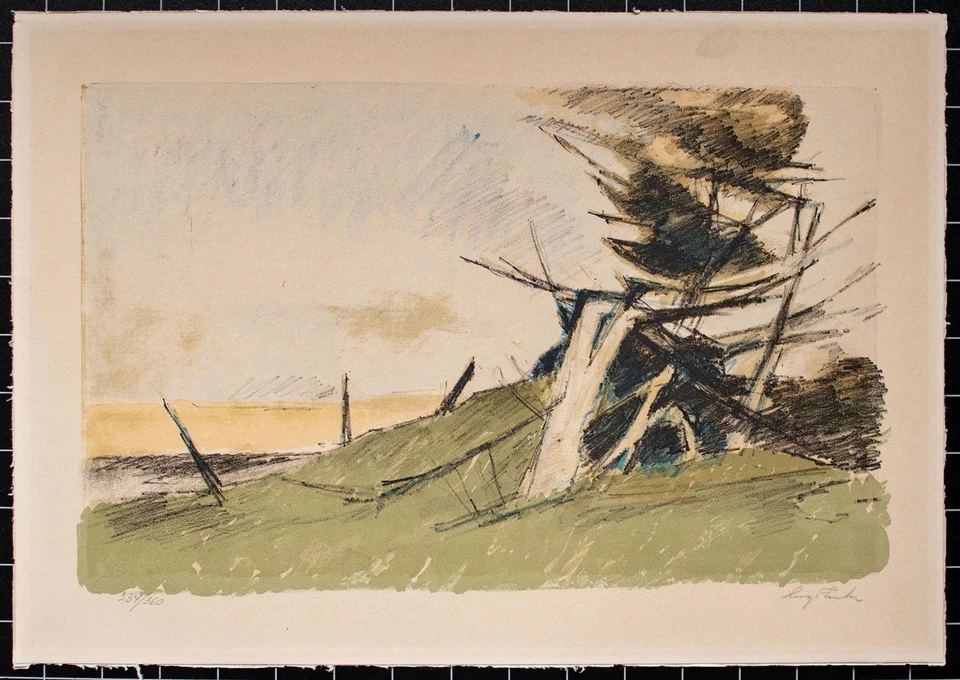 Hugo Zuhr Windflüchter Küstenlandschaft Abstrakt Orig Lithografie 234/ 360 - Bild 1 von 1