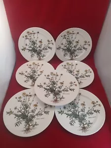 Villeroy & Boch Botanica 10 1/2" Cena Anthemis Tinctoria con radici set di 7 - Foto 1 di 18