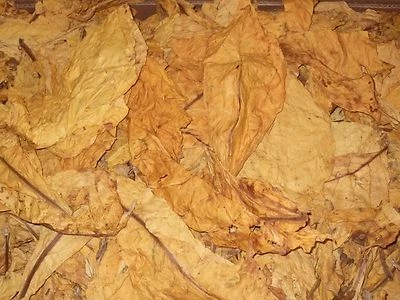 Tabakblätter  ''    ITALIEN  Virginia Bright'' 5 Kg Premium Qualität - Bild 1 von 4