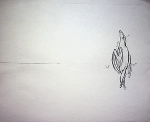 Disney's HERCULES 1996 Production Studio Copy Pegasus Model Sheet Page #GB - Bild 1 von 2