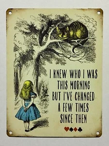 Alice in Wonderland I Knew Who I Was This Morning SML - Tin Metal Wall Sign - Foto 1 di 1