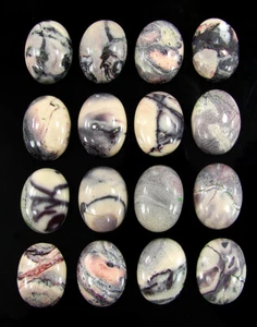117.30 Ct Natural Porcelain Jasper Gemstone 12x16 mm Cabochon 16 Pcs Lot - 61247 - Picture 1 of 2