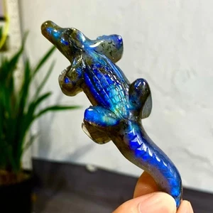 Labradorite naturale 60G coccodrillo intagliato a mano quarzo cristallo esemplare pietra - Foto 1 di 24