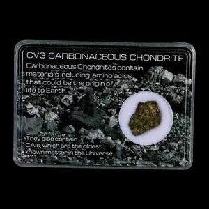 0.7" CV3 Carbonaceous Chondrite Meteorite Specimen CAIS Display - Picture 1 of 5