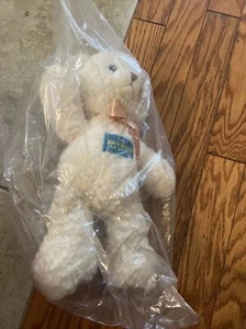 Aurora World Teddy Bear White Plush Rare That Awkward Moment Zac Effron - Picture 1 of 4