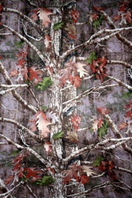 WHITE BIRCH TREE FROM DAVID TEXTILES - 100% COTTON FABRIC - Image 1 of 4