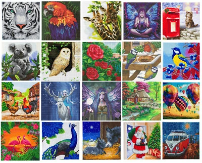 CRAFT BUDDY Kit arte cristallo amico artigiano 30 cm x 30 cm ~ vernice diamantata premontata su cornice