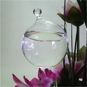 10 Stück Durstkugeln Bewässerungskugel Durstkugel mit Glaskugel Top Qualität - Bild 1 von 2