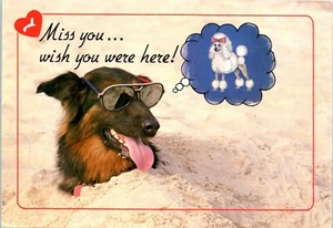 Best of the Beach, Miss You Wish You Were Here! Postcard - Picture 1 of 2