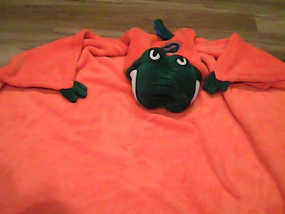 儿童佛罗里达鳄鱼连帽毛巾 — 第 1/1 张图片