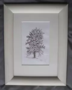 Tree Study - Ash- Pen And Ink Drawings Original Signed Janet Hill - Picture 1 of 7
