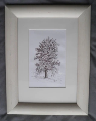 Tree Study - Ash- Pen And Ink Drawings Original Signed Janet Hill - Image 1 of 4