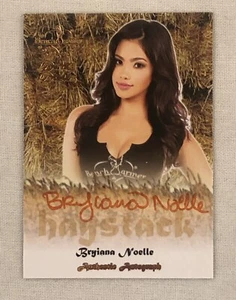 Benchwarmer Daizy Dukez Bryiana Noelle Haystack Autograph Orange Bench Warmer - Picture 1 of 2