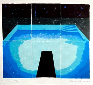 David Hockney Lithograph 'Midnight' COA Signed (Hand Numbered Limited Edition) - Picture 1 of 10