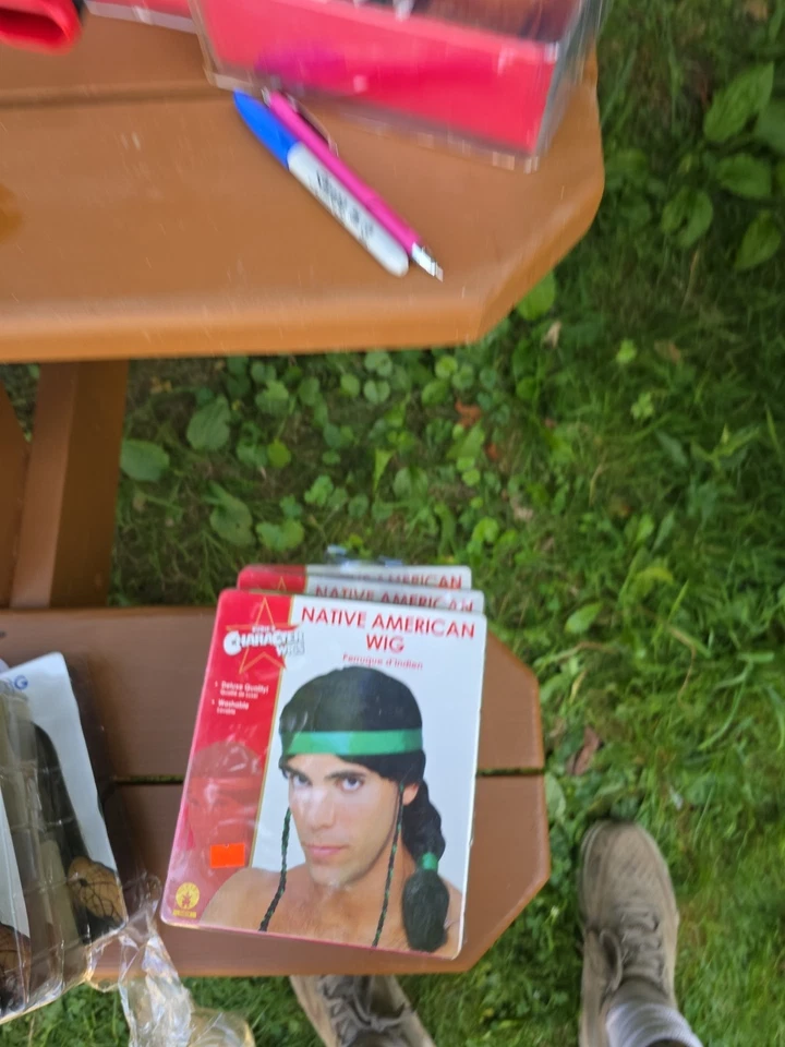 Rubies Charactor Wigs Native American Wig - Image 1 of 1