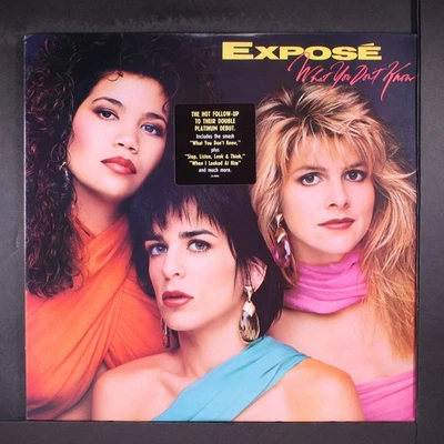 EXPOSE: what you don't know ARISTA 12" LP 33 RPM - Imagem 1 de 2