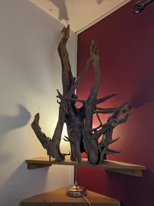 Decorative Handmade Tree Root Decoration Sculpture - Picture 1 of 3