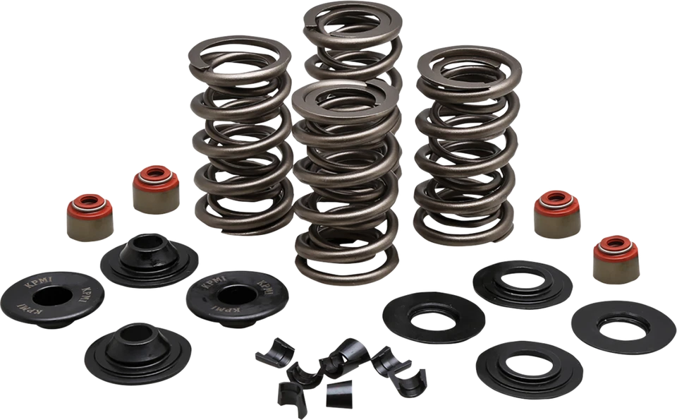 Kit de resorte Kibblewhite 20-23500 09-21 Harley-Davidson Iron 883 XLN Foto 1 de 1