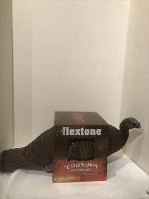 Flextone Thunder Chick Breeder Turkey Hen Decoy | Life Size | Includes Stake - Image 1 of 4