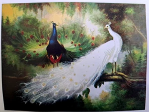 Counted Cross Stitch Kit Peacocks C001 - Picture 1 of 5