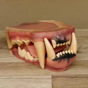 Dentadura de tigre artificial de necesidad de preparación profesional nueva boca preparación animal - Imagen 1 de 10