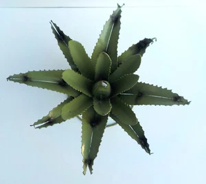 METAL YARD ART AGAVE CACTUS SCULPTURE 15-16" DIAMETER SAGE COLOR - Picture 1 of 5