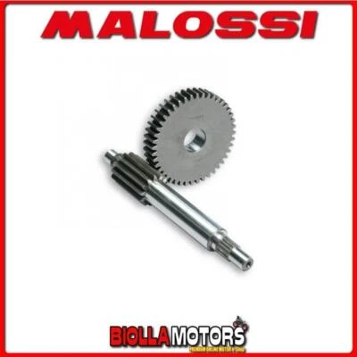 6714039 INGRANAGGI RAPPORTI PRIMARI MALOSSI Z 13 / 44 MALAGUTI F12-PHANTOM 50 2T - Immagine 1 di 4