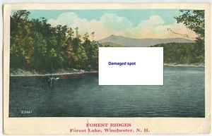 Postcard "Forest Ridges" of FOREST LAKE in WINCHESTER, NEW HAMPSHIRE 1937 - Used - Bild 1 von 2