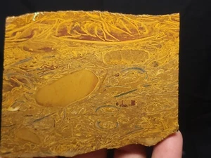 Coquina Jasper rough slab 3.75"x3"x1/4" (5.3 oz.) - Picture 1 of 4