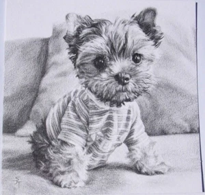 Tarjeta de cumpleaños temática de retrato de perro con tarjetas Tracks. (Perro 2). - Imagen 1 de 3