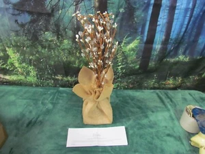 Bethlehem Lights 18" LED Lighted Branch Pink Pip Berry Tree with Timer New - Picture 1 of 3