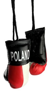 Lot of 100 Mini Boxing Gloves Wholesale POLAND Country Pride MMA Boxing Gloves - Picture 1 of 5