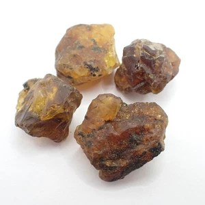 26 grams / 130 carats Burmese Amber Burmite Natural Rough Lot Mineral Collection - Picture 1 of 5