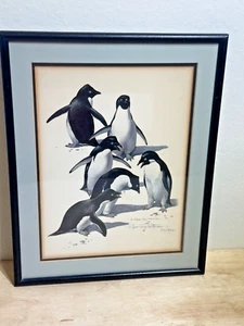 Roger Tory Peterson | 1957 Signed Art Print | "Penguins" | RARE | 80/950 | 16x13 - Picture 1 of 9